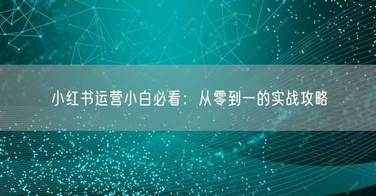 小红书运营小白必看：从零到一的实战攻略
