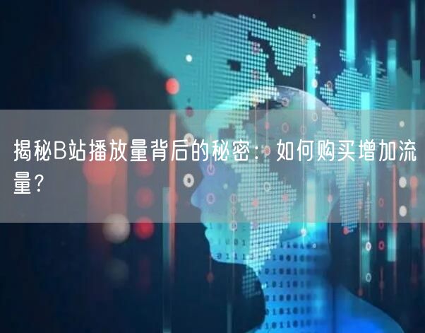 揭秘B站播放量背后的秘密：如何购买增加流量？