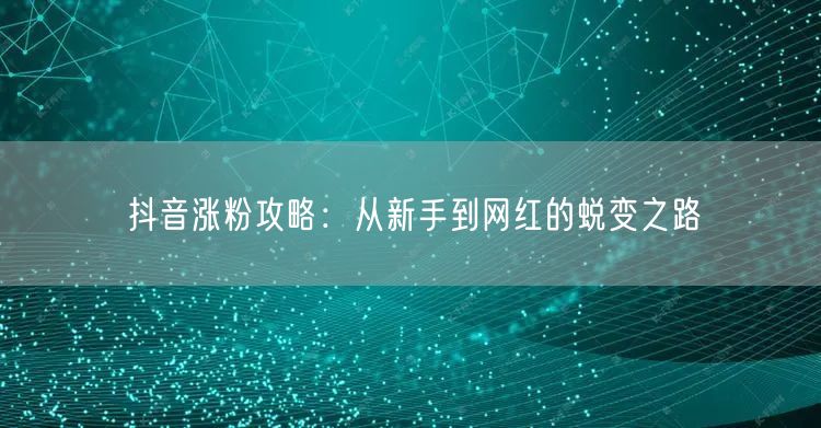 抖音涨粉攻略：从新手到网红的蜕变之路