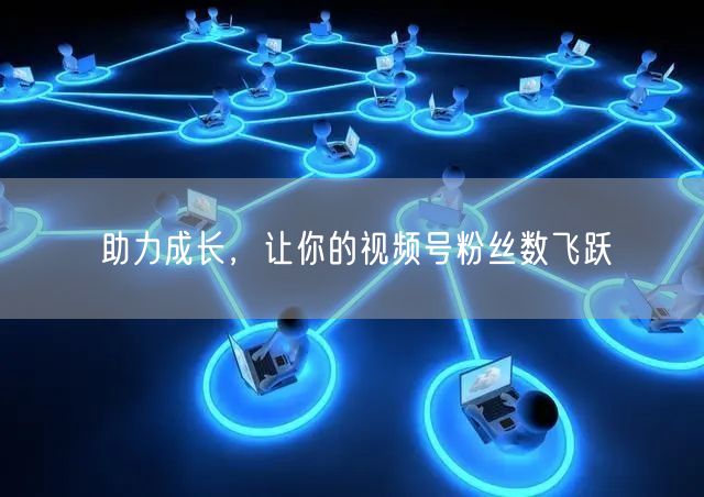 助力成长，让你的视频号粉丝数飞跃