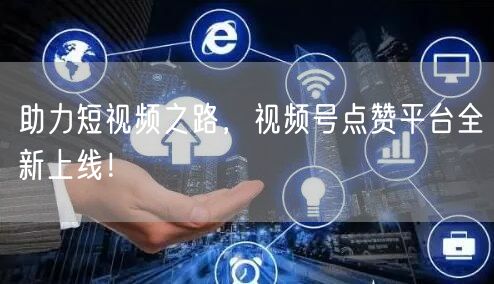 助力短视频之路，视频号点赞平台全新上线！
