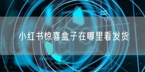 小红书惊喜盒子在哪里看发货