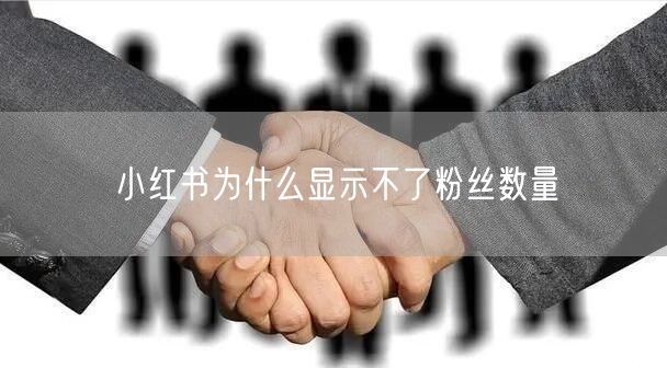 小红书为什么显示不了粉丝数量