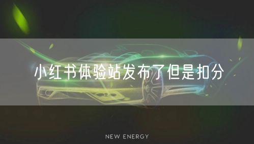 小红书体验站发布了但是扣分