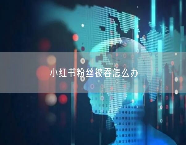 小红书粉丝被吞怎么办