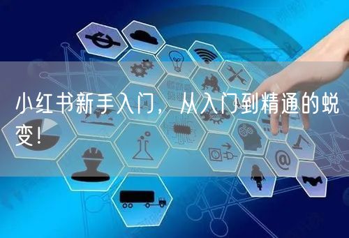 小红书新手入门，从入门到精通的蜕变！