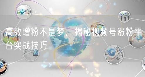 高效增粉不是梦，揭秘视频号涨粉平台实战技巧