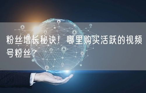 粉丝增长秘诀！哪里购买活跃的视频号粉丝？