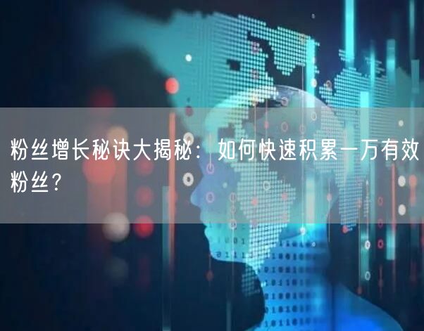 粉丝增长秘诀大揭秘：如何快速积累一万有效粉丝？