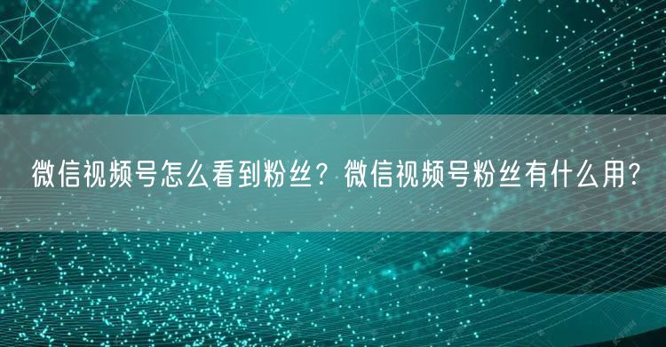 微信视频号怎么看到粉丝？微信视频号粉丝有什么用？