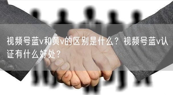 视频号蓝v和黄v的区别是什么？视频号蓝v认证有什么好处？