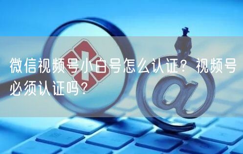 微信视频号小白号怎么认证？视频号必须认证吗？