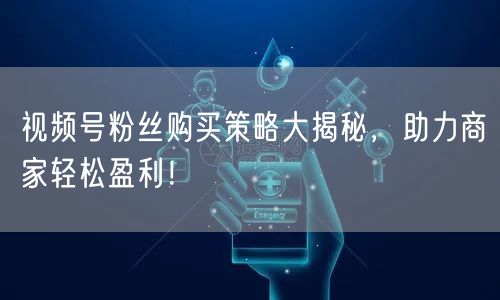 视频号粉丝购买策略大揭秘,助力商家轻松盈利!