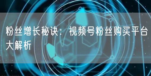 粉丝增长秘诀:视频号粉丝购买平台大解析