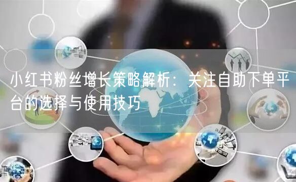小红书粉丝增长策略解析：关注自助下单平台的选择与使用技巧