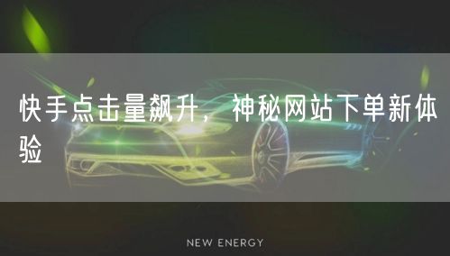 快手点击量飙升，神秘网站下单新体验