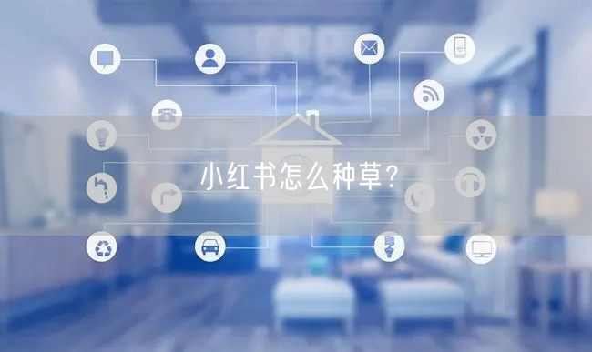 小红书怎么种草？