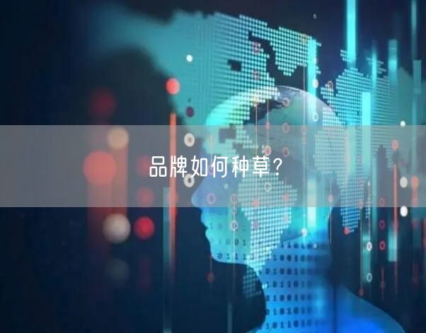 品牌如何种草?