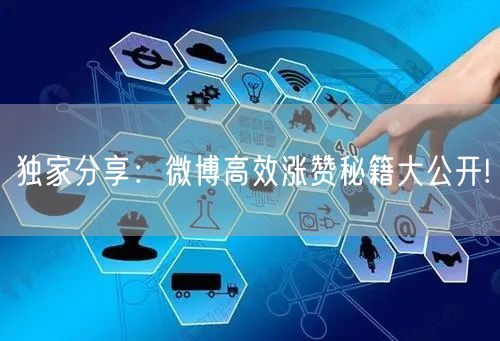 独家分享：微博高效涨赞秘籍大公开!