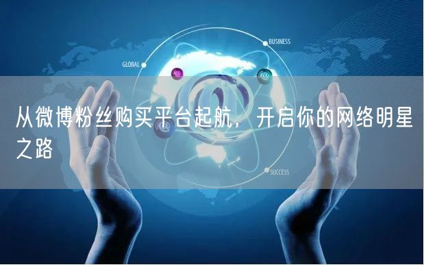 从微博粉丝购买平台起航,开启你的网络明星之路