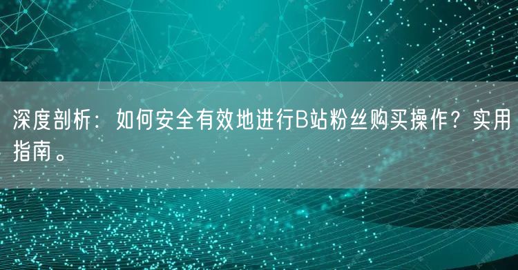 深度剖析：如何安全有效地进行B站粉丝购买操作？实用指南。