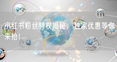 小红书粉丝特权揭秘，独家优惠等你来抢！