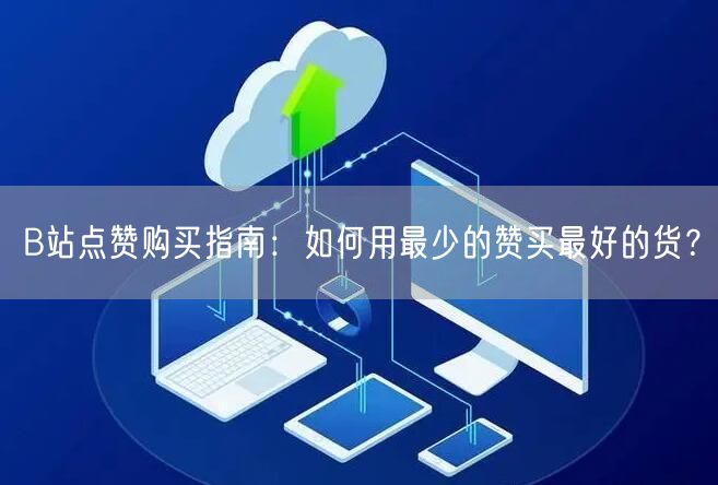 B站点赞购买指南：如何用最少的赞买最好的货？