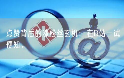 点赞背后的涨粉丝玄机：在B站一试便知。
