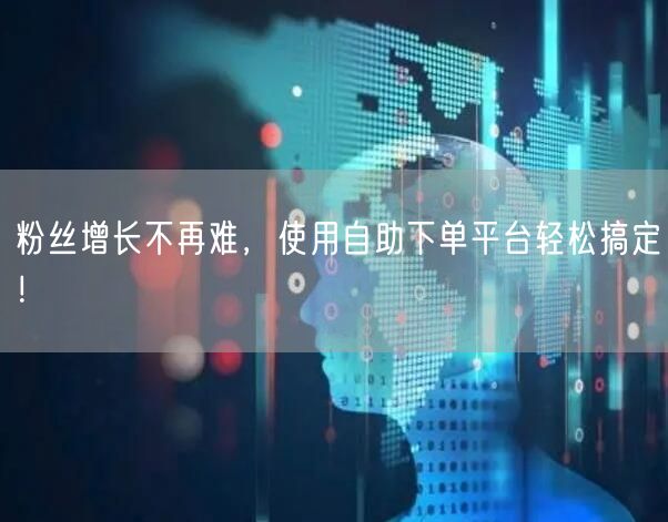 粉丝增长不再难,使用自助下单平台轻松搞定!