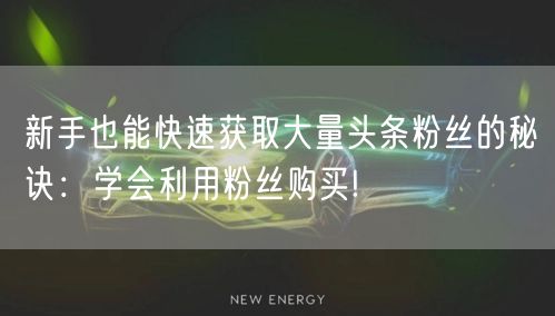 新手也能快速获取大量头条粉丝的秘诀：学会利用粉丝购买!