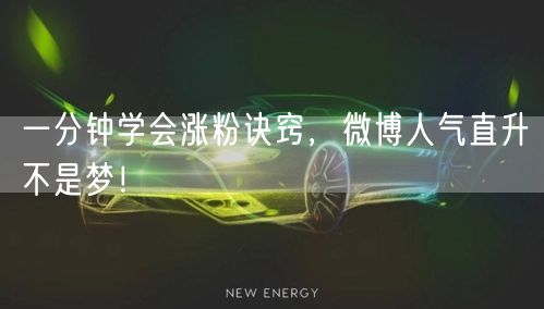 一分钟学会涨粉诀窍，微博人气直升不是梦！