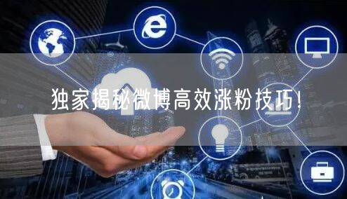 独家揭秘微博高效涨粉技巧！