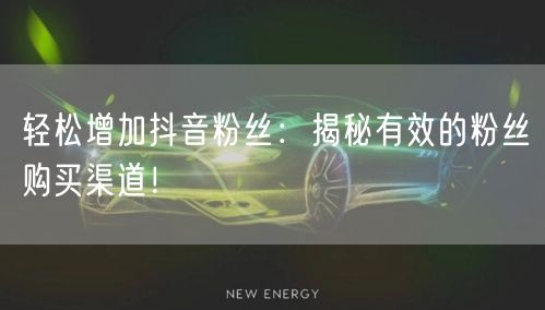 轻松增加抖音粉丝：揭秘有效的粉丝购买渠道！